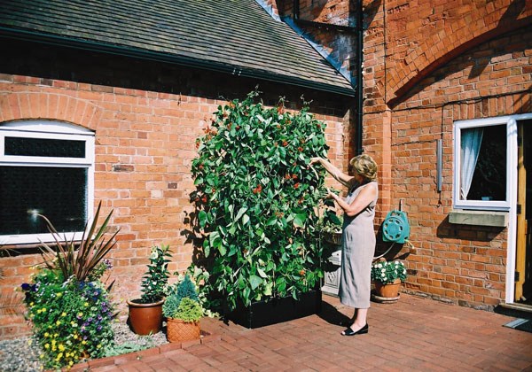 Mini raised bed and support frame