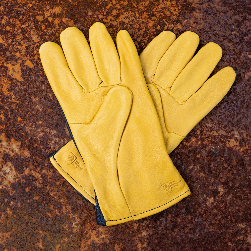 RHS gold leaf dry touch gloves