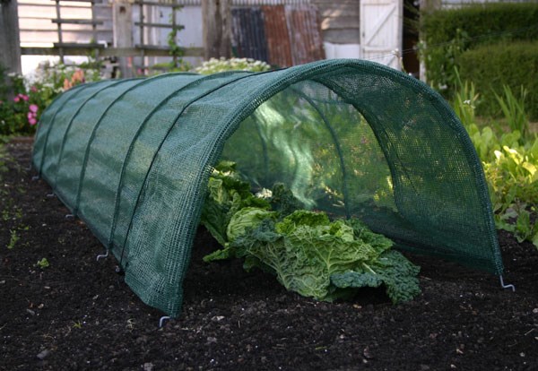 Large net tunnel
