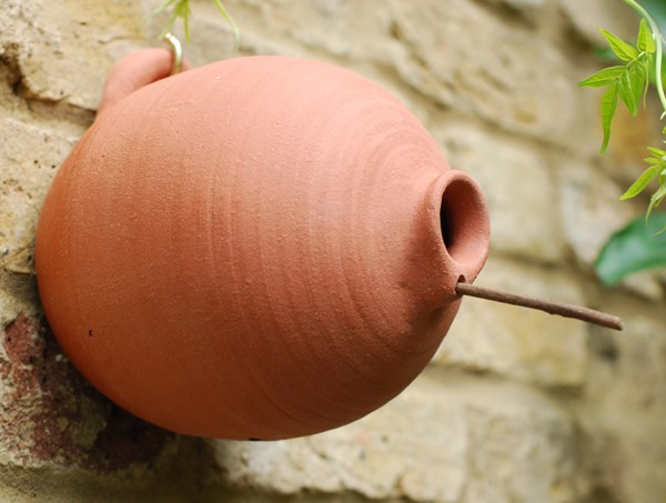 Blue tit terracotta bird pot