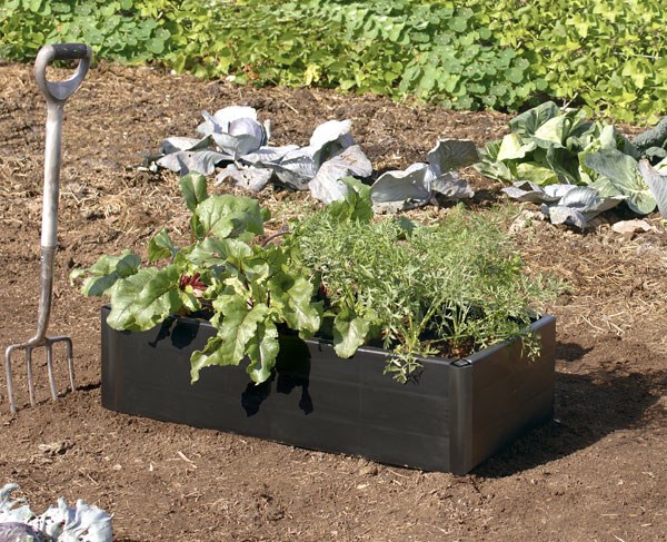 Mini raised bed