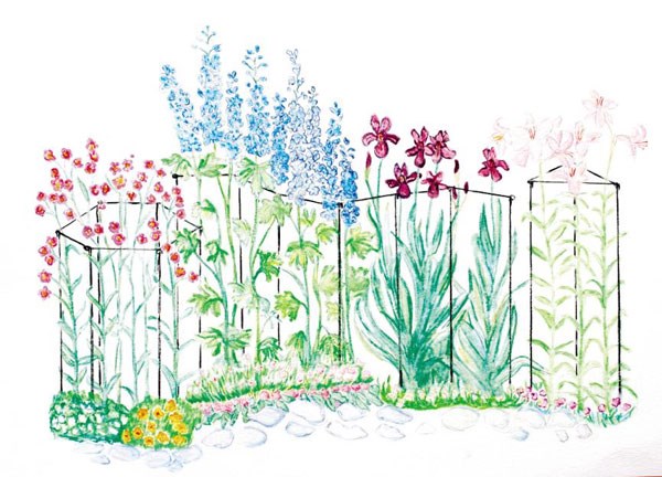 Plant link stakes - set of 6