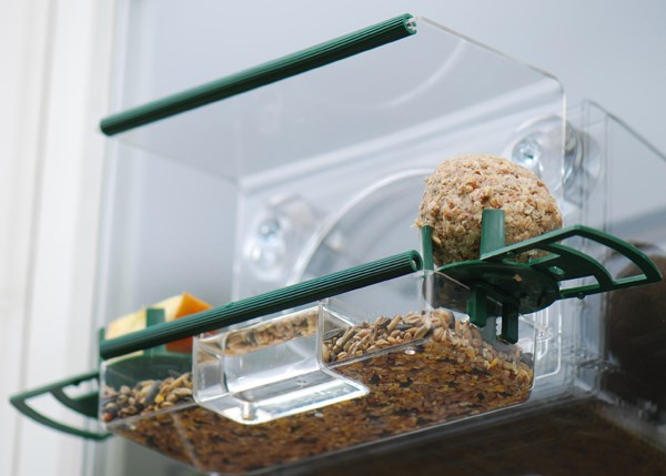 Complete window feeder for birds