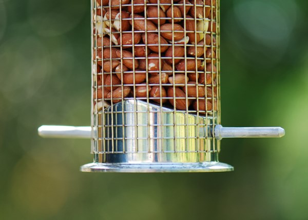 Heavy duty nut feeder