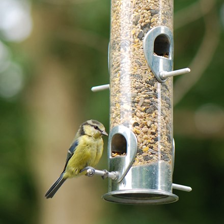 Heavy duty seed feeder