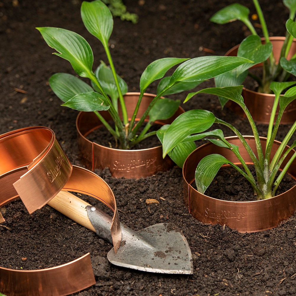 The original copper slug rings - set of 6