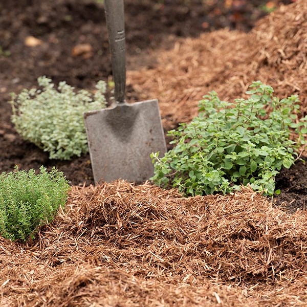 Strulch organic garden mulch