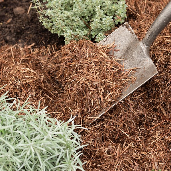 Strulch organic garden mulch