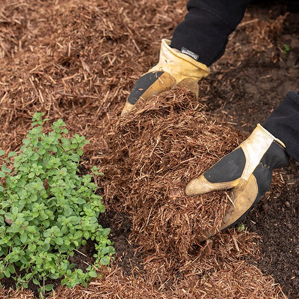 Strulch organic garden mulch