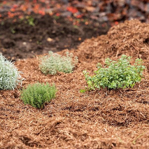 Strulch organic garden mulch