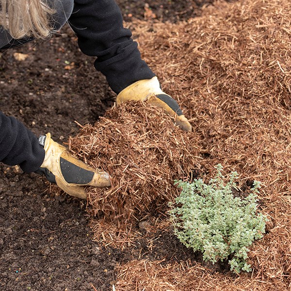 Strulch organic garden mulch