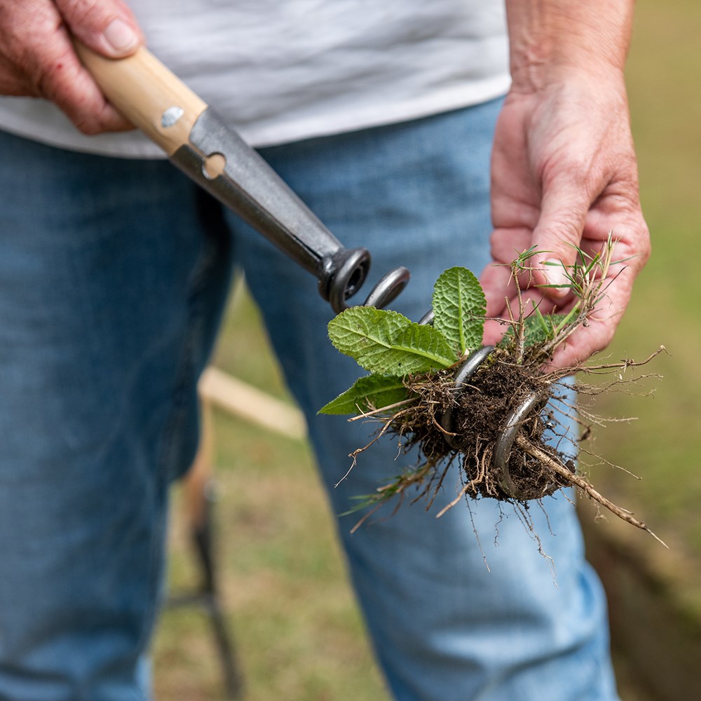 DeWit hand corkscrew weeder