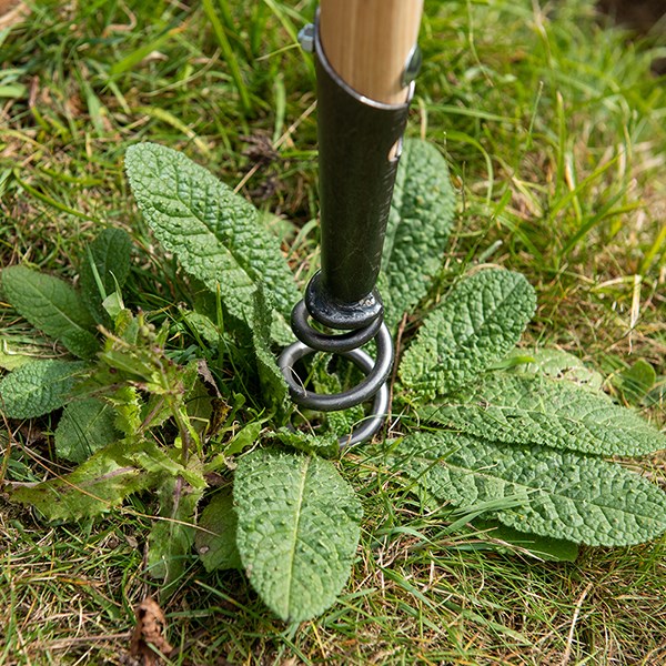 DeWit hand corkscrew weeder
