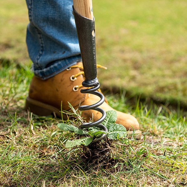 DeWit hand corkscrew weeder