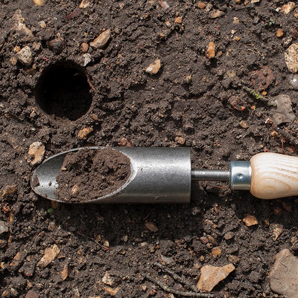 DeWit bulb planter - crocus/snowdrops