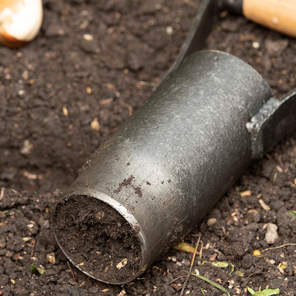 DeWit hand bulb planter