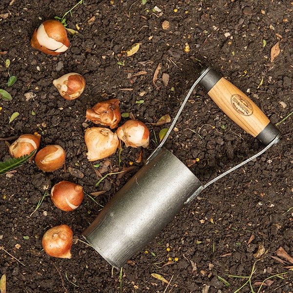 DeWit hand bulb planter