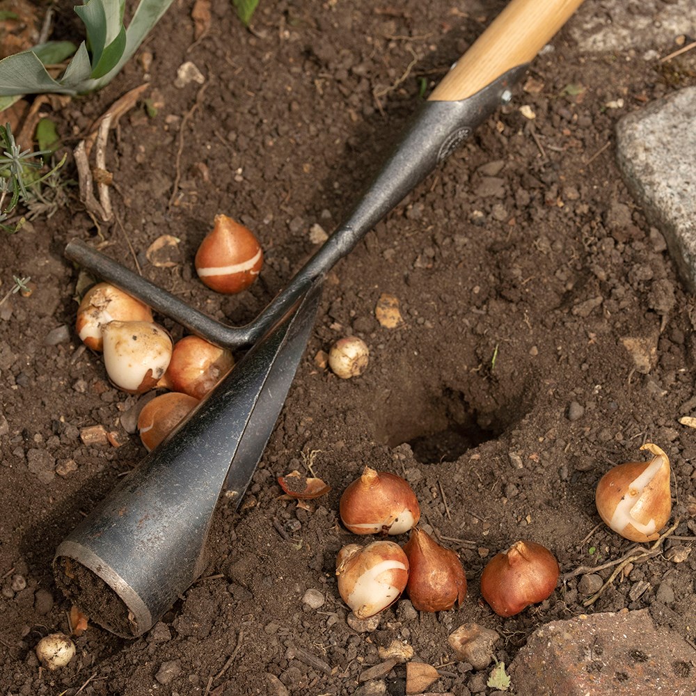 DeWit tulip and daffodil bulb planter