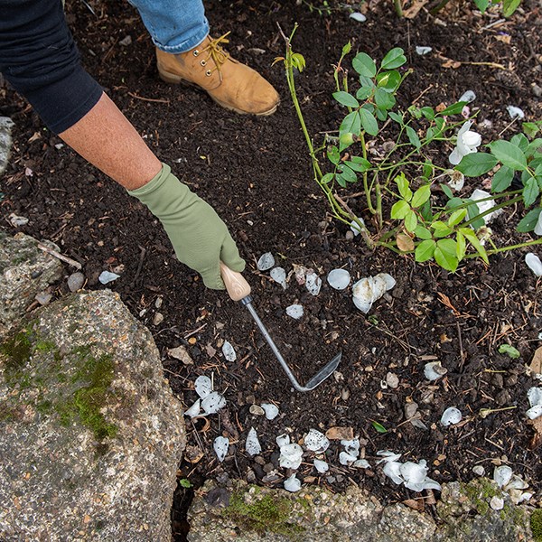 DeWit cape cod weeder
