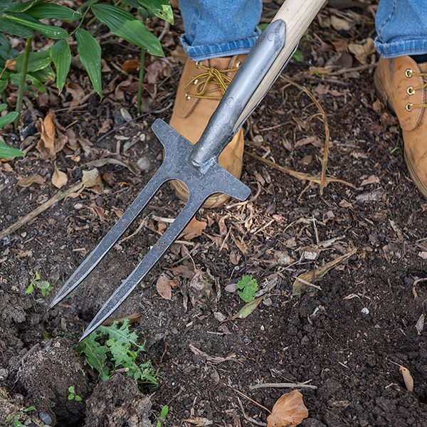 DeWit two-pronged weeder / rose fork