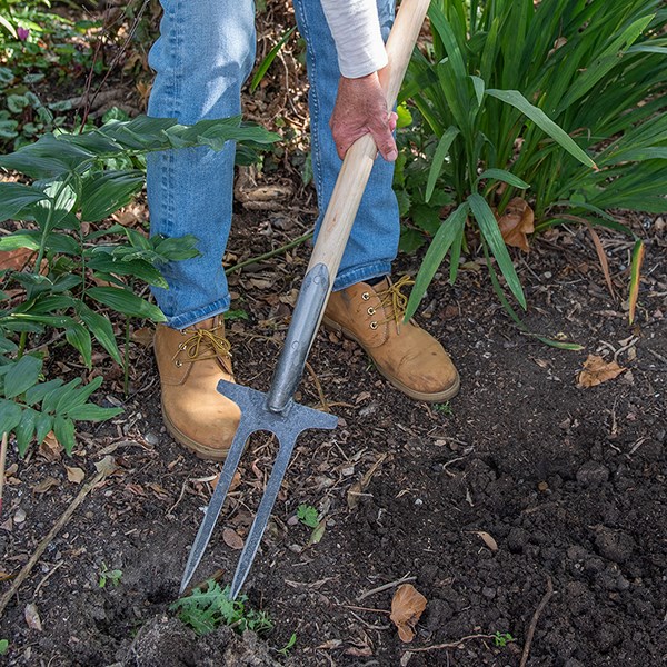DeWit two-pronged weeder / rose fork