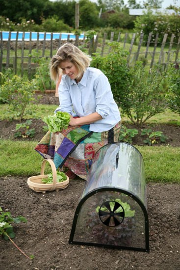 Kitchen garden cloche