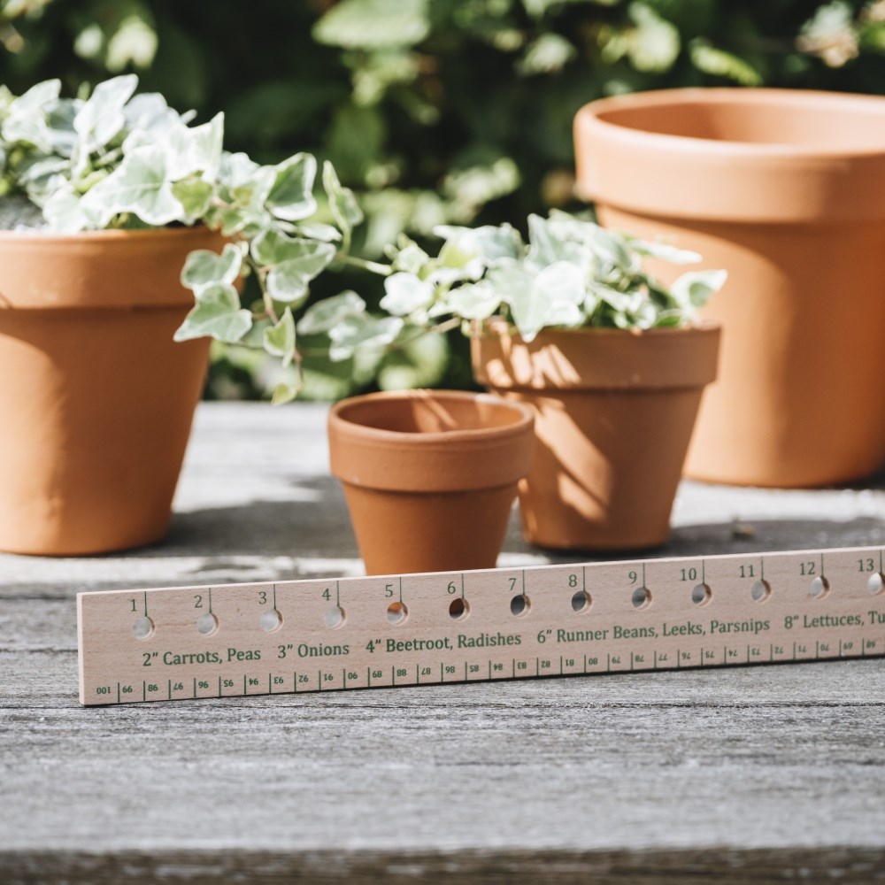 Seed and plant spacing ruler