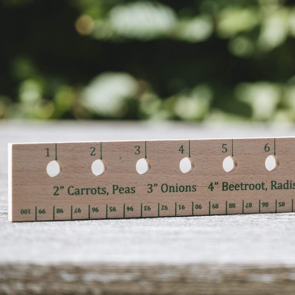 Seed and plant spacing ruler