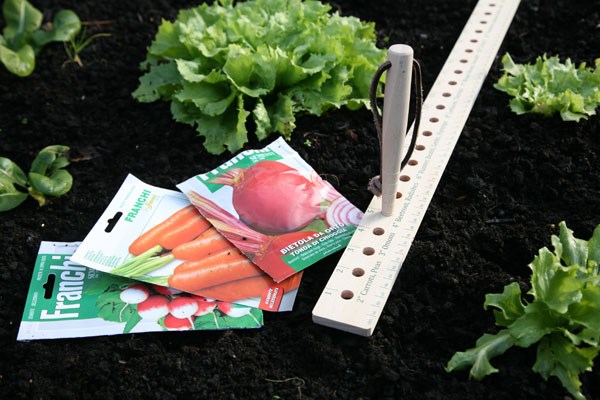 Seed and plant spacing ruler