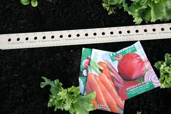 Seed and plant spacing ruler
