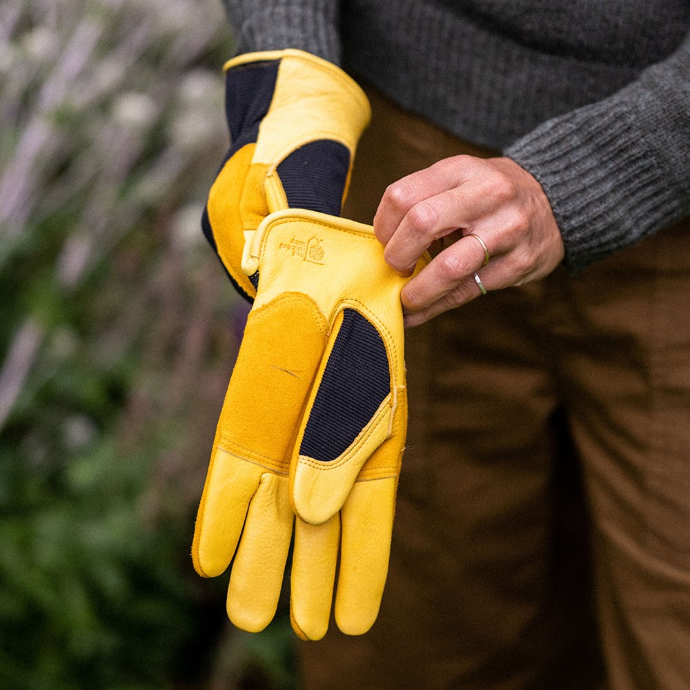 RHS gold leaf winter touch gloves