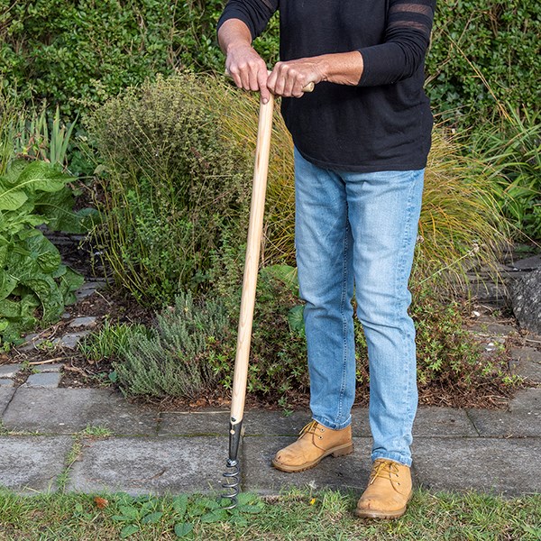 DeWit corkscrew weeder long T handle