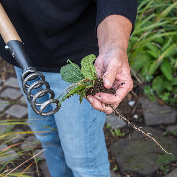 DeWit corkscrew weeder long T handle