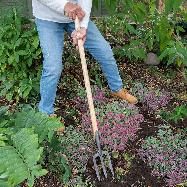 DeWit small fork with long T handle