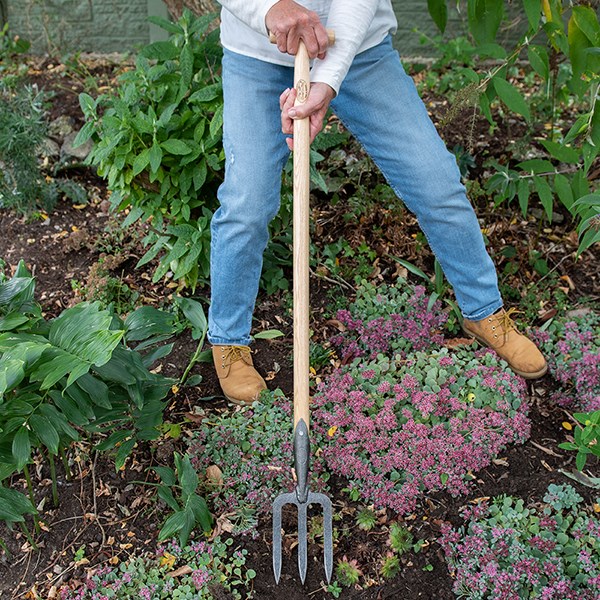 DeWit small fork with long T handle