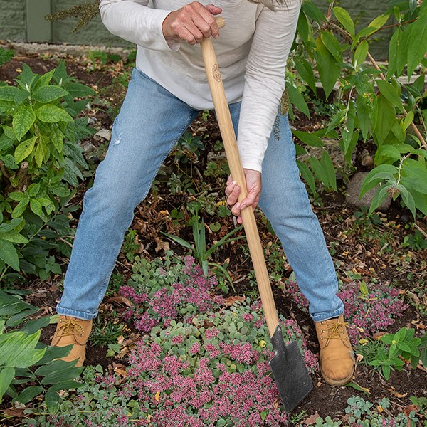 DeWit small spade with long T handle