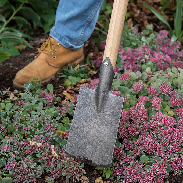 DeWit small spade with long T handle