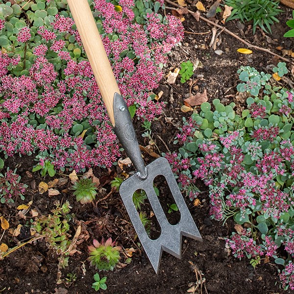 DeWit small spork with long 'T' handle