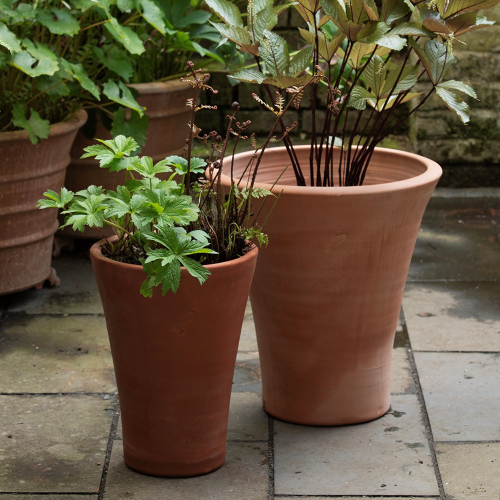 Empoli terracotta lily pot