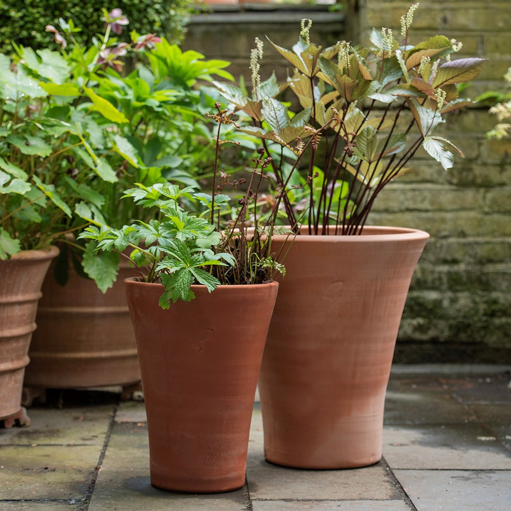 Empoli terracotta lily pot