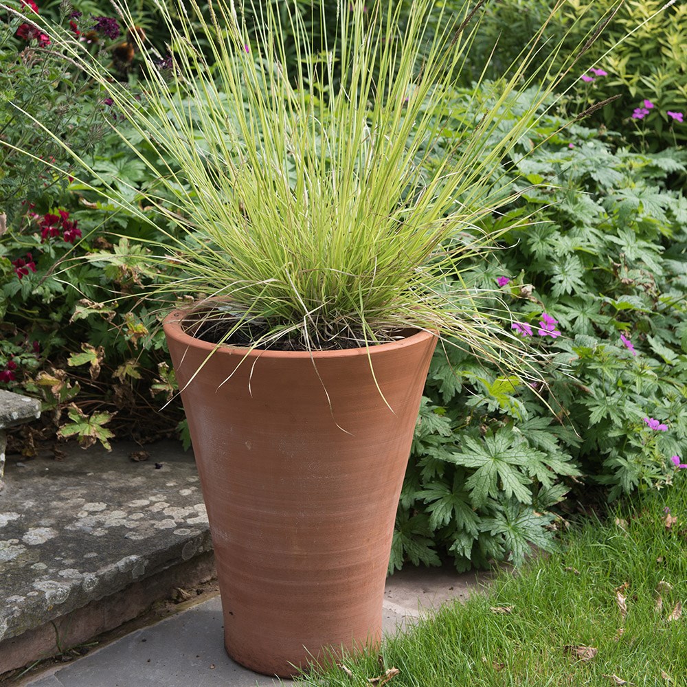 Empoli terracotta lily pot