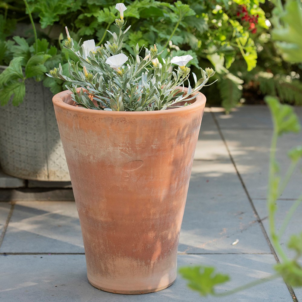 Empoli terracotta lily pot