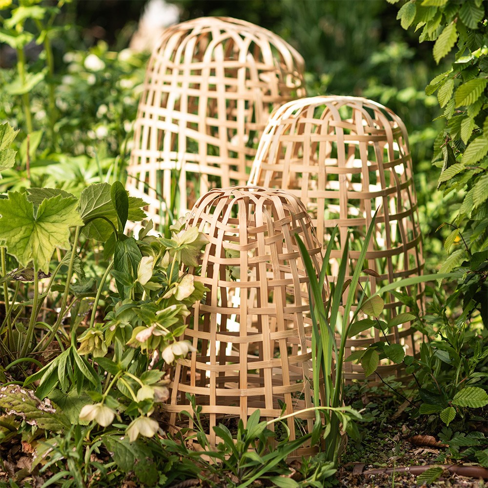 Bamboo cloche