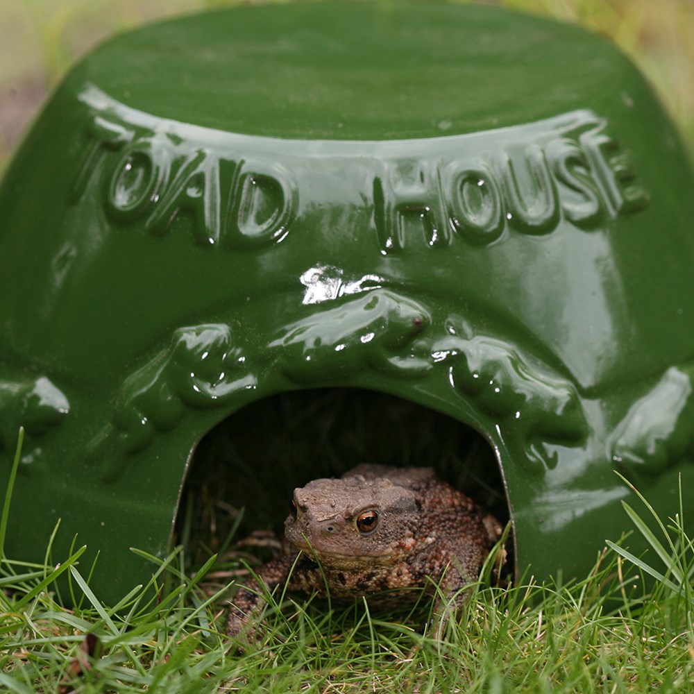 Glazed ceramic toad house