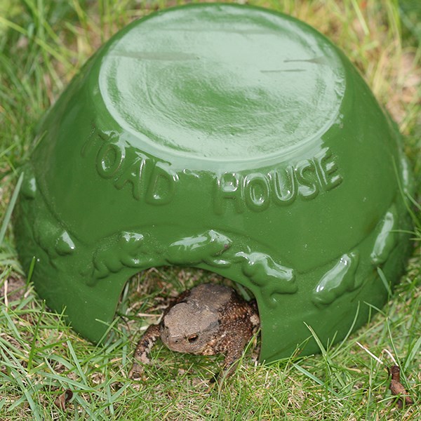 Glazed ceramic toad house