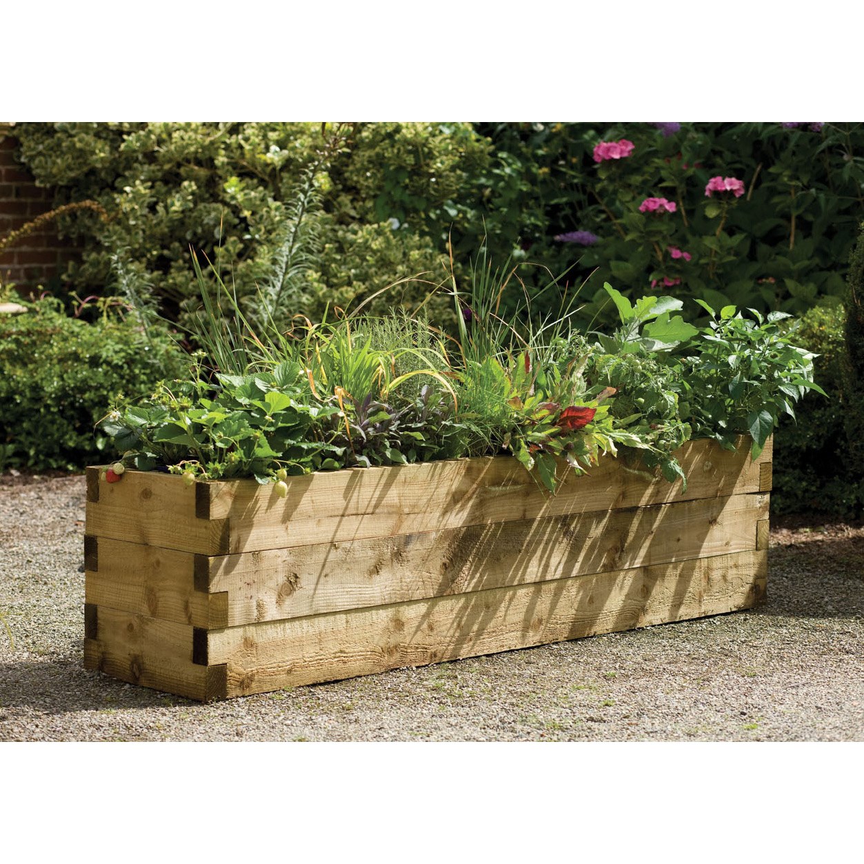 Narrow caledonian raised bed