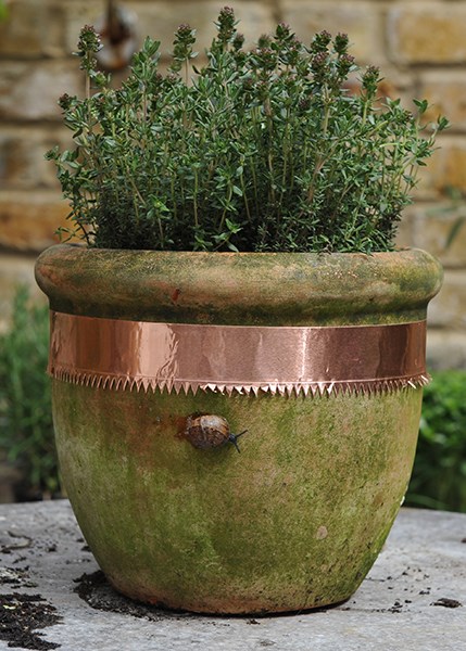 Copper snail and slug tape