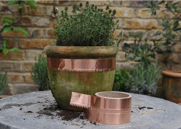 Copper snail and slug tape