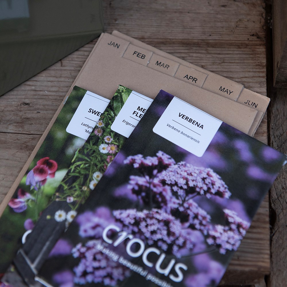 Calendar seed storage box