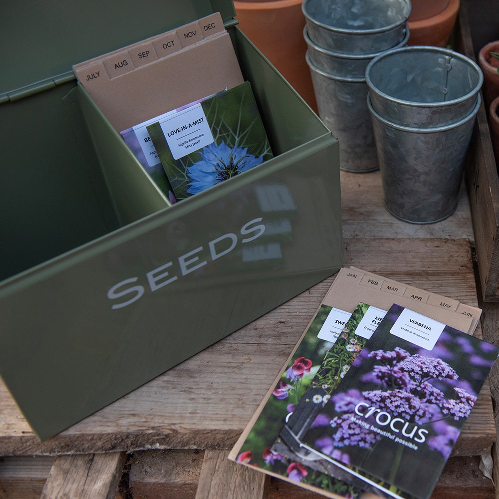 Calendar seed storage box